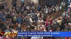 Cardinal Blase Cupich holds Palm Sunday mass at Holy Name Cathedral
