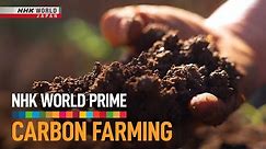 Carbon Farming: A Climate Solution Under Our Feet - NHK WORLD PRIME