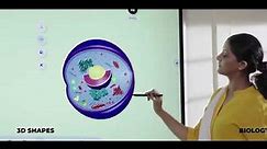 Senses Interactive Panel- Revolutionizing Classroom Education by Replacing Whiteboards