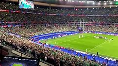 Zombie at the Stade de France following Ireland's rugby win over South Africa