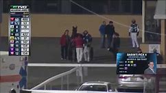 58 Year-Old Harness Driver Holds on while Getting Dragged by Wild Horse