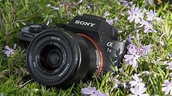 Sony Alpha a7 II Review