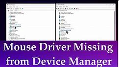 Mice and Other Pointing Devices {Mouse & Touchpad Driver} Missing from Device Manager Windows 10/11