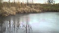 Vlog:Własny Staw co zrobić aby ryby przetrwały zime