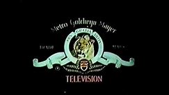 David Gerber Productions/MGM Television (1982)