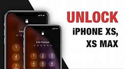 Remove Forgotten Passcode to Unlock Disabled iPhone XS, XS Max. Easy & Safe!