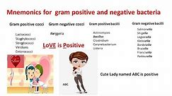 Mnemonics for gram positive and gram negative bacteria | Gram positive and negative bacteria |