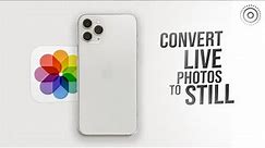 How do I Convert Live Photos to Just Photos on iPhone (tutorial)