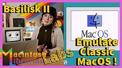 [Labs] Emulate a Classic Macintosh Today! Basilisk II Tutorial!