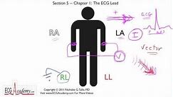 Basics of ECG Leads 5-1 - ECG / EKG Interpretation -- BASIC