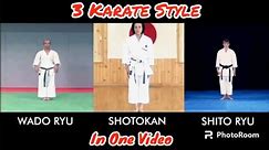 3 Different Karate Style In One Video