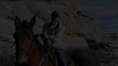 Horse Vs Mule: Who Is More Sure Footed? #horse #horses #horselover #horsesoftiktok #cowboy #wildhorse #wildhorses #fyp