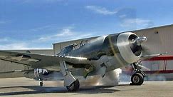 Restored WWII Republic P-47 Thunderbolt "Razorback" Fighter Flight Demo !