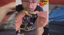 Viral Video: Young Man Adopts Small Crocodile Caught In Fishing Hook