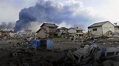Tohoku Earthquake and Tsunami