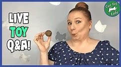 Live Q&A and learn how to make a catnip ball cat toy.