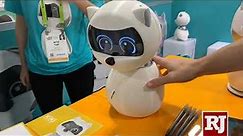 Kiki from Zoetic is a robotic pet
