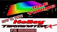 How to Tune Holley Terminator X for Beginners - IDLE CONTROL TARGETS // Holley EFI Idle Tuning