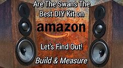 Is This Amazon DIY Speaker Kit A Winner? Let's Build The HiVi Swans 3-Way Kit!