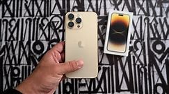 Gold iPhone 14 Pro Max: First Look