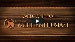 Dave Recker's Mule Enthusiast, How to Get Your Mule to Lie Down (DVD Segment)