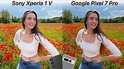 Sony Xperia 1 V vs Google Pixel 7 Pro Camera Test