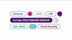 LG Chem - 2023 Year End Wrap Up