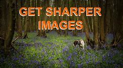 How To Get Sharper Images | Photography