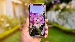 iPhone 12 mini Detailed Camera Review in 2022