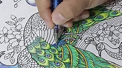 LIMITED TIME: 20 Free Coloring Pages