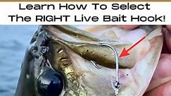 The Best 5 Hooks For Live Bait (And When to Use Them!)