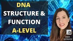 DNA structure and function for A-level Biology. Nucleotide monomer and polynucleotide polymer