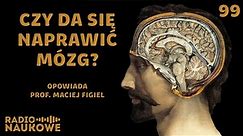 Leczenie mózgu – jak nauka chce pokonać choroby neurodegeneracyjne? | prof. Maciej Figiel