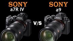Sony a7R IV vs Sony a9 | Quick Camera comparison