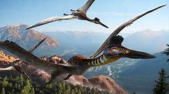 Dinosaurs Documentary | Largest flying creature ever - Pterosaurs Documentary HD