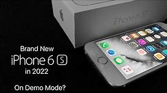 I got a new iPhone 6s in 2022...