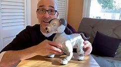 Sony Aibo ERS-1000 Review: It’s the Ultimate Robot Dog!