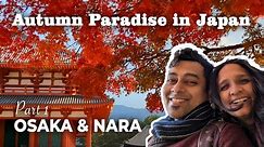 We Found Autumn Paradise in Japan | Osaka | Nara