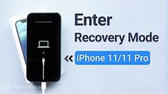 🙊How to Put iPhone 11/11pro in Recovery Mode 2023 (2 Free Ways)