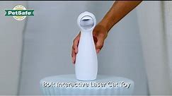 PetSafe® Bolt Interactive Laser Cat toy