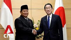 Indonesia's Prabowo vows cooperation with Japan, days after promising China closer ties