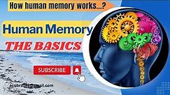 Human Memory - The Basics | How Human Memory Works?
