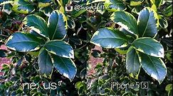 Nexus 5 vs iPhone 5s - Camera Test Comparison - video Dailymotion