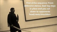 Basic Strikes in Indo Persian Swordsmanship