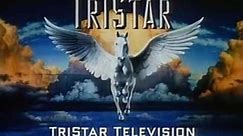 TriStar Television Logo (1998)