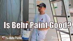 Behr Paint Review. Should you buy this paint?