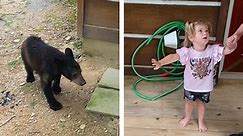 Little girl desperately wants to pat bear