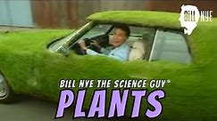 Bill Nye The Science Guy on Plants