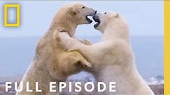 Clan of the North (Full Episode) | Kingdom of the Polar Bears