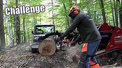 Stihl MS 661 Mag Vs MS 500i Vs MS 362 Vs MS 261 Testing | What Chainsaw is THE BEST